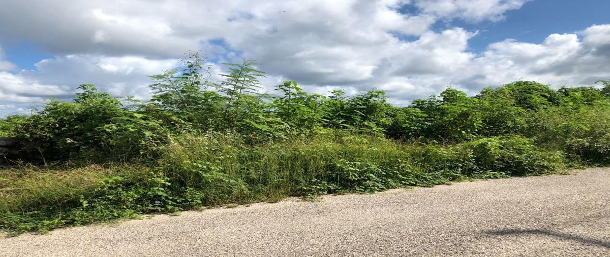 Foto de terreno habitacional en venta en autopista mérida - chetumal , yaxcopoil, umán, yucatán, 0 No. 04