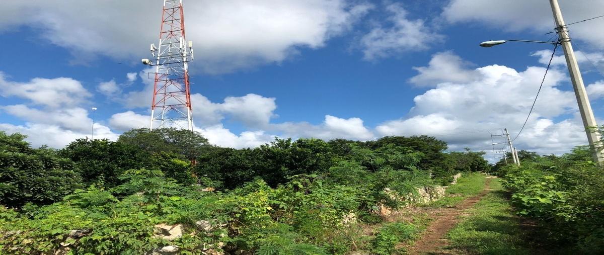 Foto de terreno habitacional en venta en autopista mérida - chetumal , yaxcopoil, umán, yucatán, 0 No. 05