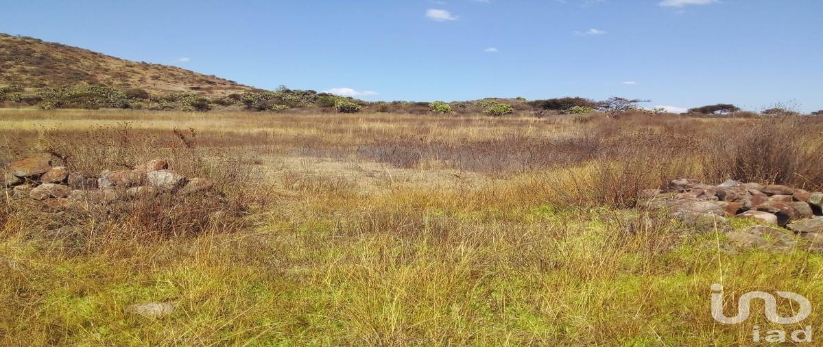 Foto de terreno comercial en venta en autopista mexico queretaro 197, el álamo, polotitlán, méxico, 28725619 No. 04
