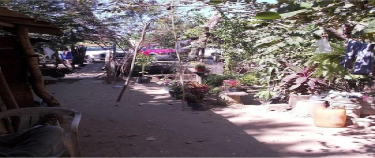 Foto de terreno industrial en autopista mexico-acapulco , la sabana, acapulco de juárez, guerrero, 7140470 foto 03 Foto de terreno industrial en venta en autopista mexico-acapulco , la sabana, acapulco de juárez, guerrero, 7140470 No. 03