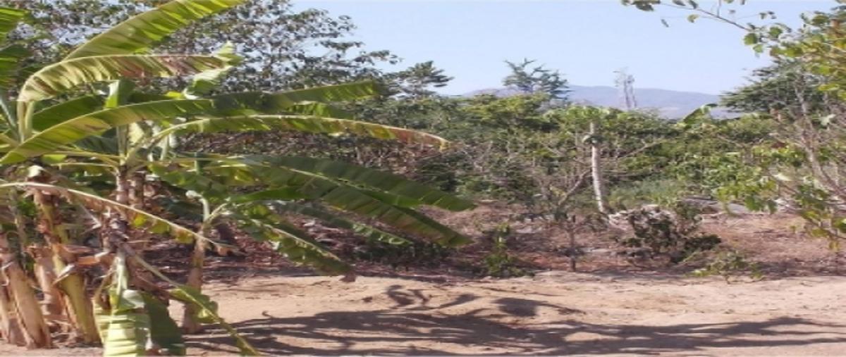Foto de terreno industrial en autopista mexico-acapulco , la sabana, acapulco de juárez, guerrero, 7140470 foto 05 Foto de terreno industrial en venta en autopista mexico-acapulco , la sabana, acapulco de juárez, guerrero, 7140470 No. 05
