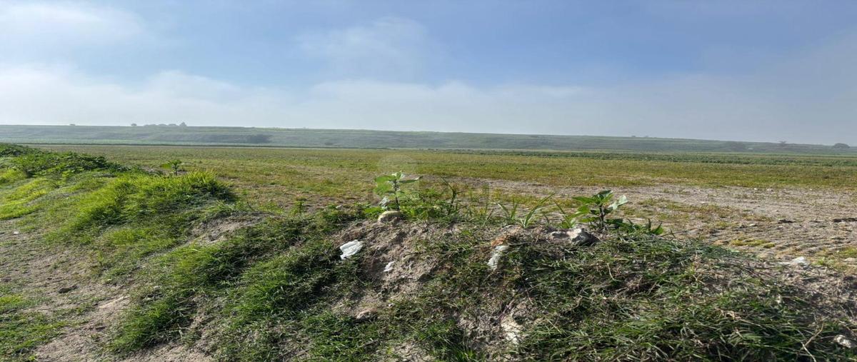 Foto de terreno comercial en autopista méxico-veracruz, carretera 136, kilometro 04 4, acasillados san martin notario, huamantla, tlaxcala, 30268235 foto 05 Foto de terreno comercial en venta en autopista méxico-veracruz, carretera 136, kilometro 04 4, acasillados san martin notario, huamantla, tlaxcala, 30268235 No. 05