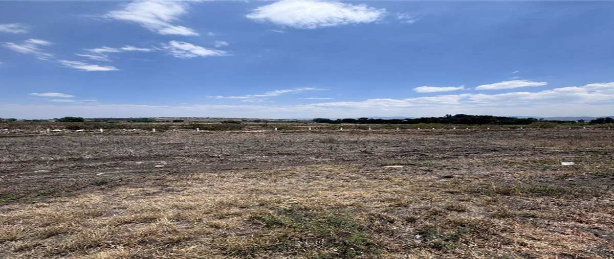 Foto de terreno industrial en venta en autopista morelia - aeropuerto , álvaro obregón, álvaro obregón, michoacán de ocampo, 0 No. 05