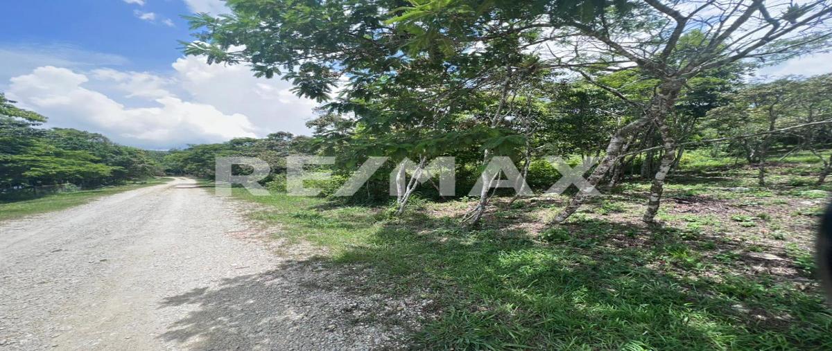 Foto de terreno habitacional en venta en autopista ocozocoautla de espinosa - las chopas kilometro 188 , ocuilapa de juárez, ocozocoautla de espinosa, chiapas, 0 No. 03