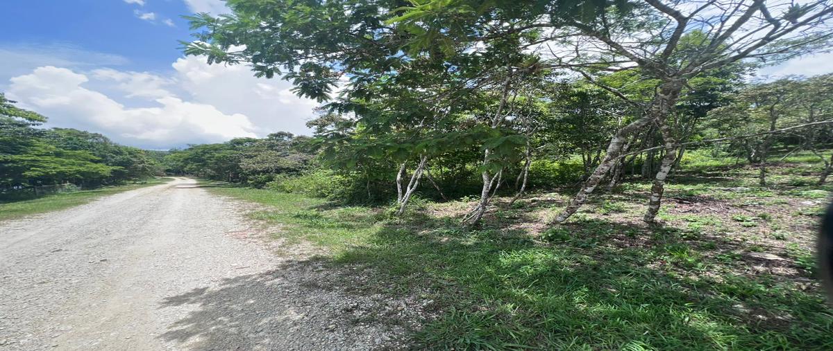 Foto de terreno habitacional en venta en autopista ocozocoautla de espinosa - las chopas kilometro , ocuilapa de juárez, ocozocoautla de espinosa, chiapas, 28176350 No. 03