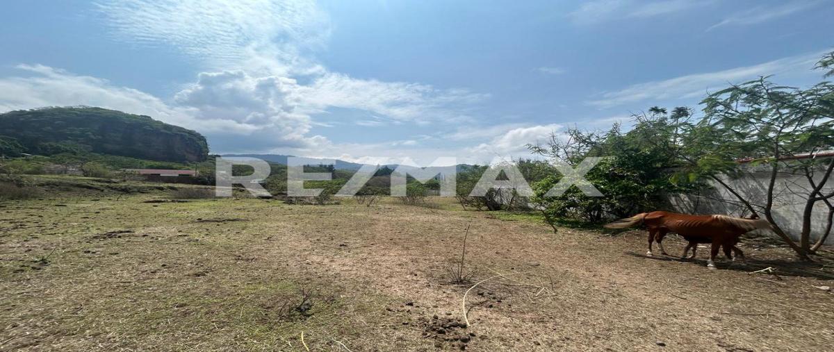 Foto de terreno habitacional en venta en av, morelos , malinalco, malinalco, méxico, 0 No. 04