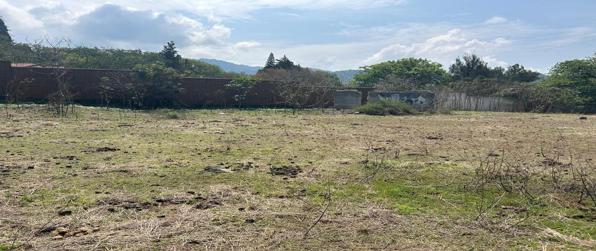 Foto de terreno habitacional en venta en av, morelos , malinalco, malinalco, méxico, 28542463 No. 05