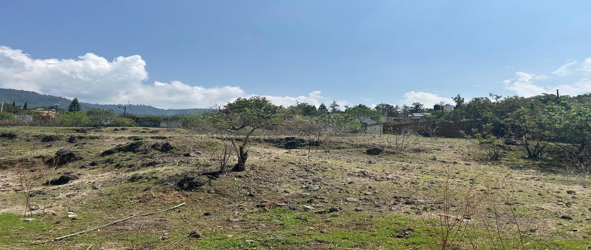 Foto de terreno habitacional en venta en av, morelos , malinalco, malinalco, méxico, 28542463 No. 06