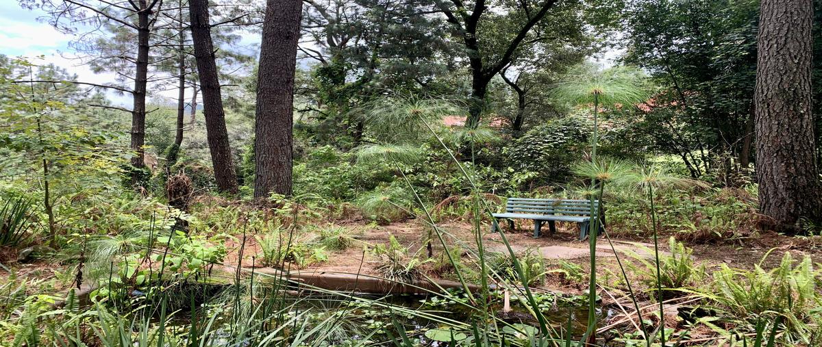 Foto de terreno habitacional en venta en avándaro , avándaro, valle de bravo, méxico, 28436011 No. 03