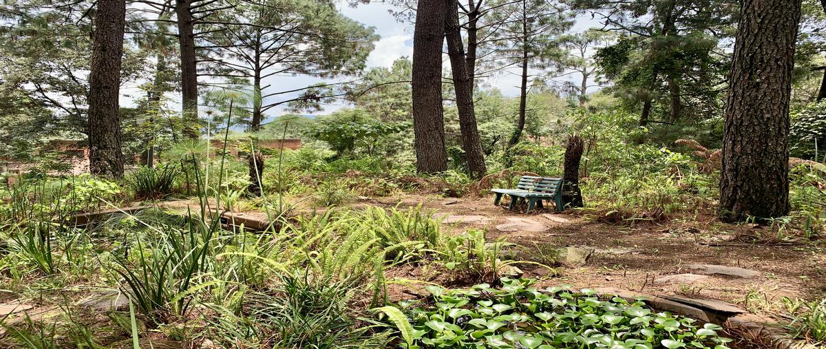 Foto de terreno habitacional en venta en avándaro , avándaro, valle de bravo, méxico, 28436011 No. 04