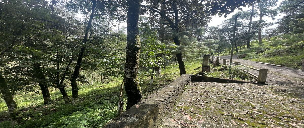 Foto de terreno habitacional en avandaro , avándaro, valle de bravo, méxico, 0 foto 01 Foto de terreno habitacional en venta en avandaro , avándaro, valle de bravo, méxico, 0 No. 01