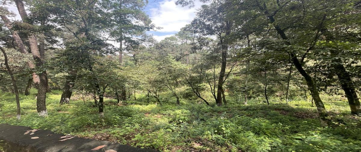 Foto de terreno habitacional en avandaro , avándaro, valle de bravo, méxico, 0 foto 03 Foto de terreno habitacional en venta en avandaro , avándaro, valle de bravo, méxico, 0 No. 03