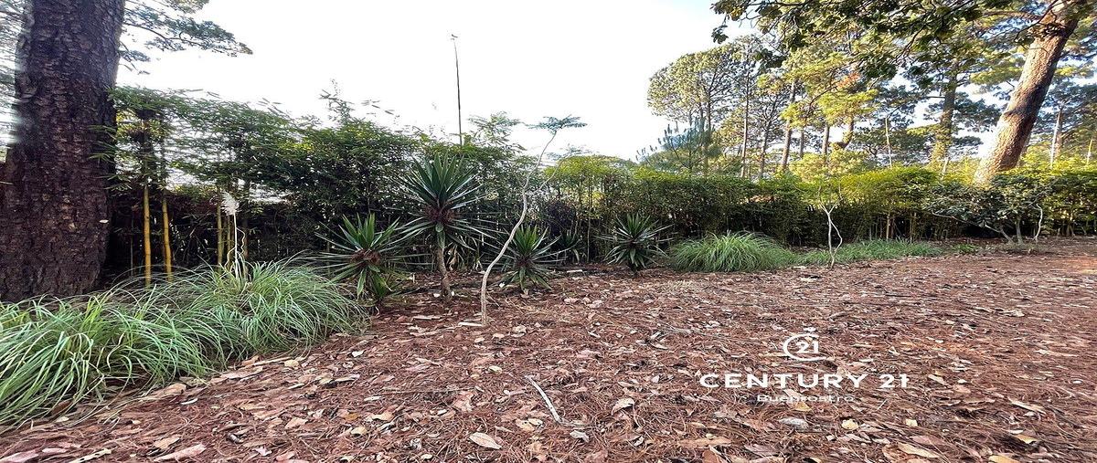 Foto de terreno habitacional en venta en avándaro , avándaro, valle de bravo, méxico, 0 No. 04