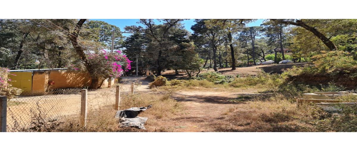 Foto de terreno habitacional en venta en  , avándaro, valle de bravo, méxico, 19302731 No. 05