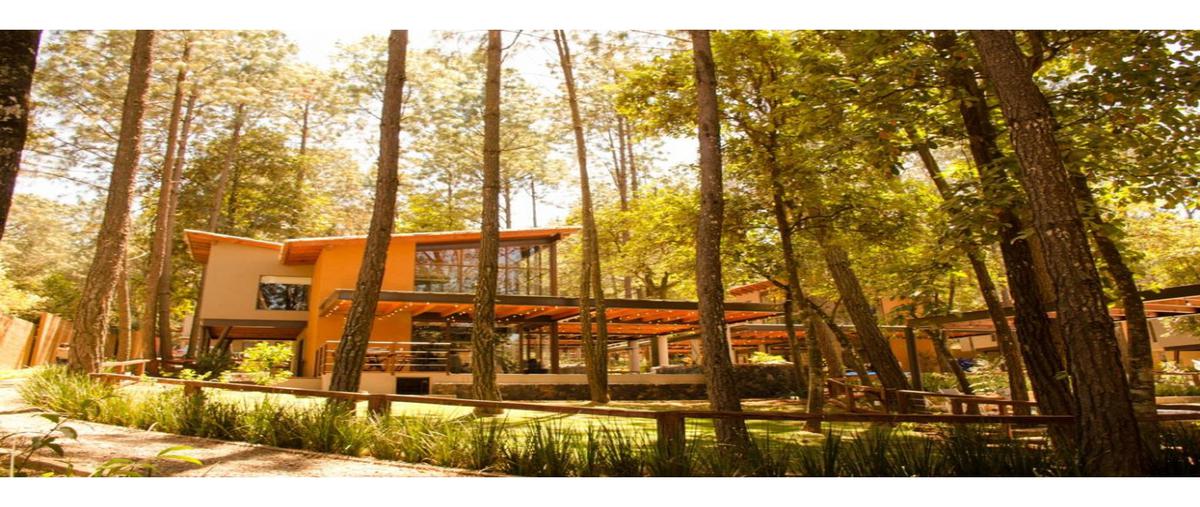 Foto de casa en venta en  , avándaro, valle de bravo, méxico, 20112398 No. 03