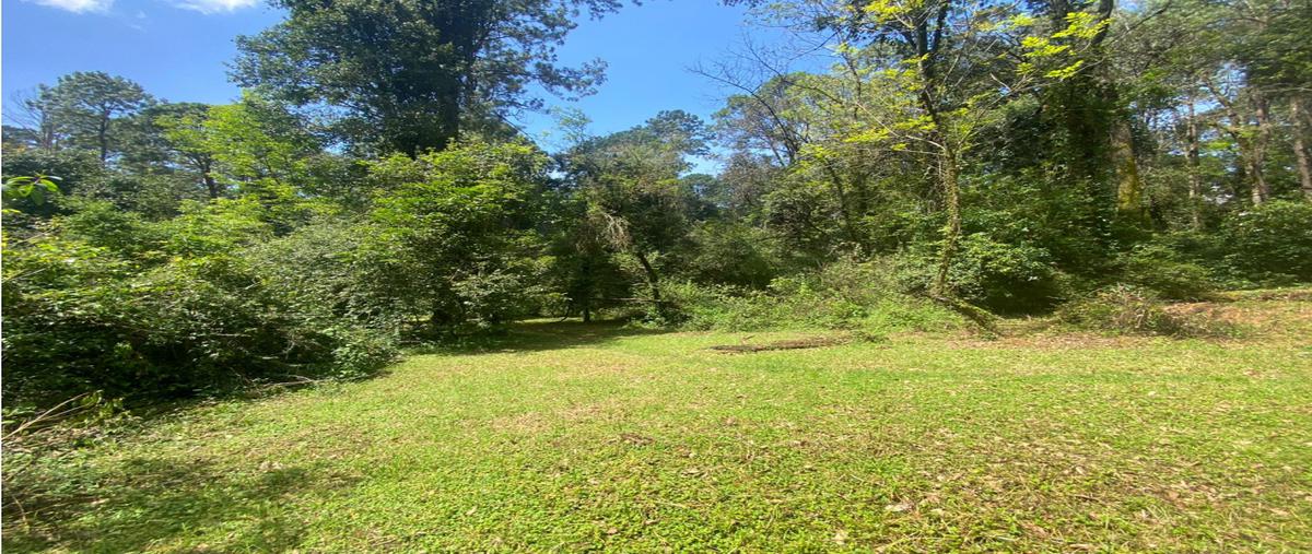 Foto de terreno habitacional en venta en  , avándaro, valle de bravo, méxico, 22514003 No. 05