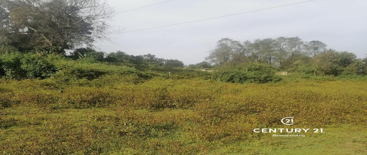 Foto de terreno habitacional en venta en  , avándaro, valle de bravo, méxico, 23284591 No. 04