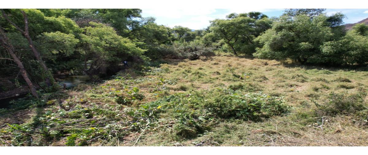Foto de terreno habitacional en venta en  , avándaro, valle de bravo, méxico, 24005300 No. 03