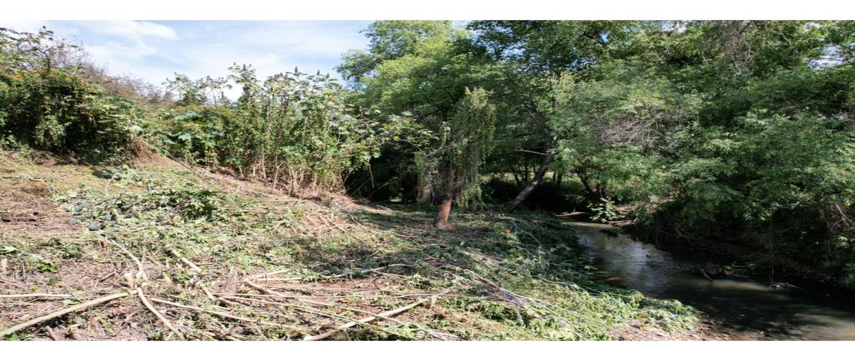 Foto de terreno habitacional en venta en  , avándaro, valle de bravo, méxico, 24005300 No. 04