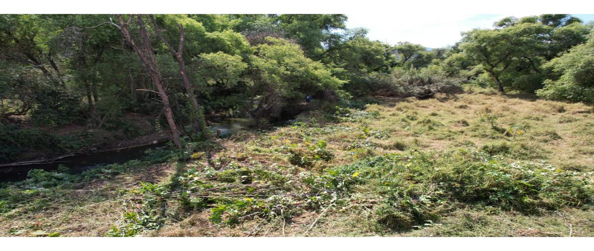 Foto de terreno habitacional en venta en  , avándaro, valle de bravo, méxico, 24005300 No. 05