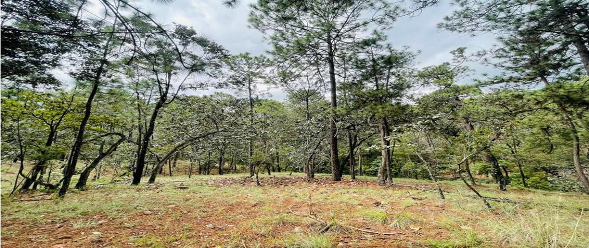 Foto de terreno habitacional en venta en  , avándaro, valle de bravo, méxico, 0 No. 03