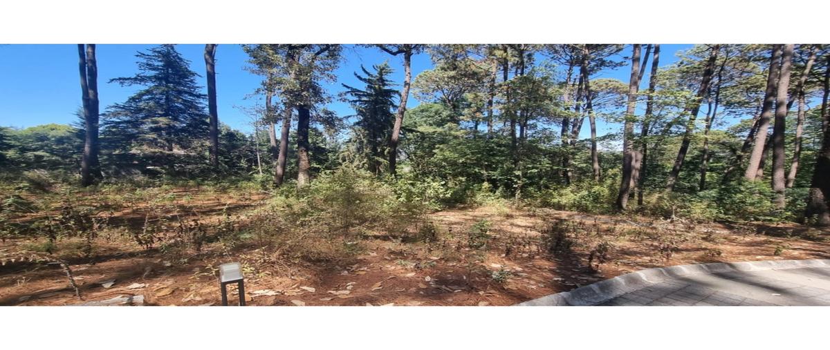 Foto de terreno habitacional en venta en  , avándaro, valle de bravo, méxico, 26192114 No. 03