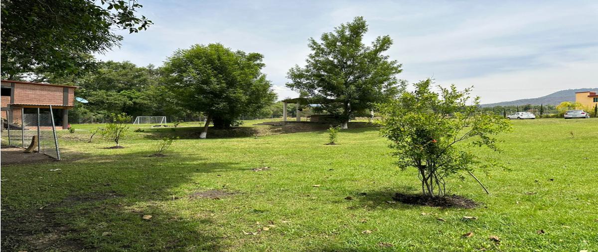 Foto de terreno habitacional en venta en  , avándaro, valle de bravo, méxico, 0 No. 04