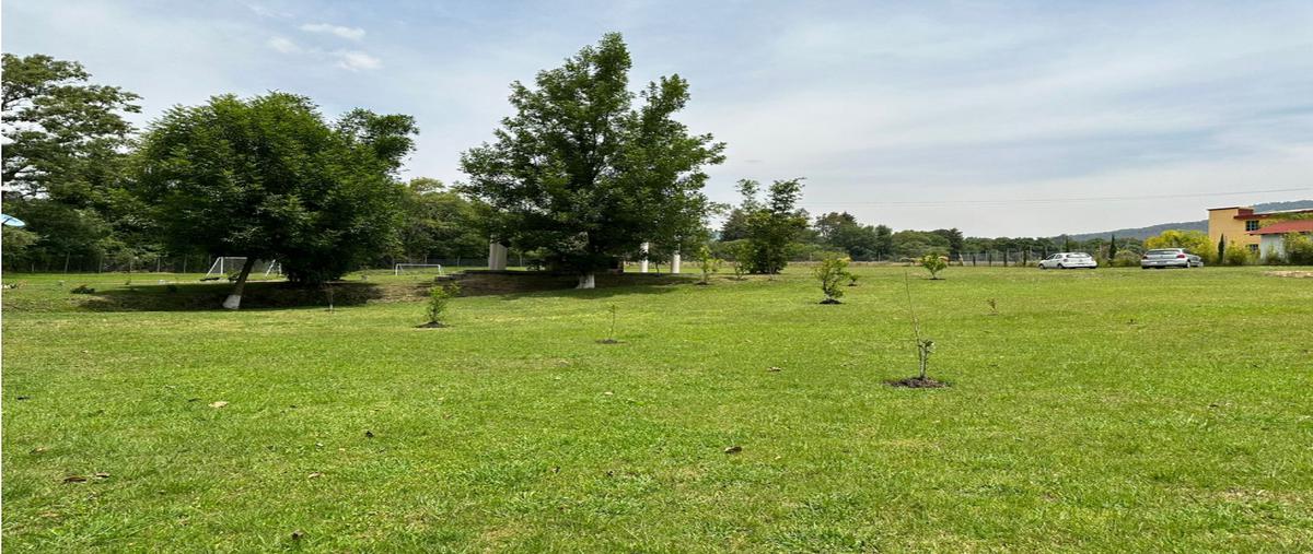 Foto de terreno habitacional en venta en  , avándaro, valle de bravo, méxico, 0 No. 05