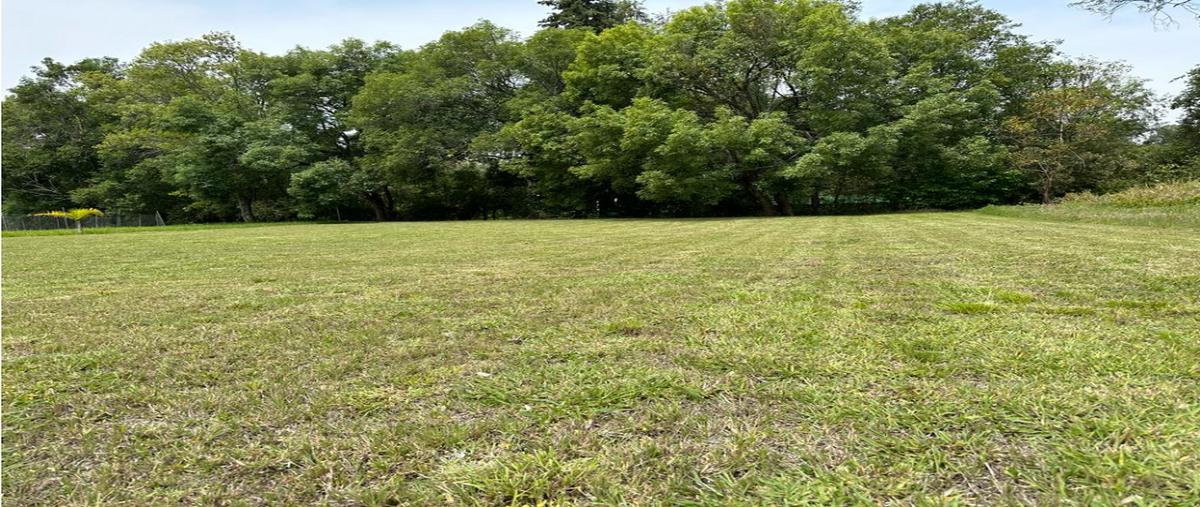 Foto de terreno habitacional en venta en  , avándaro, valle de bravo, méxico, 0 No. 04