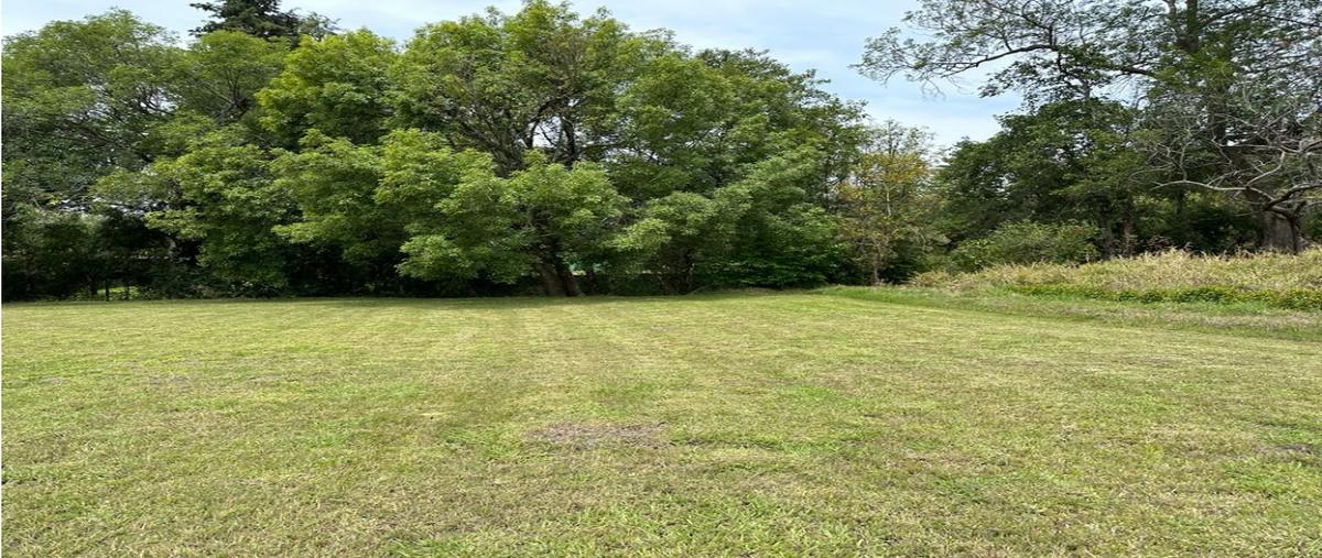 Foto de terreno habitacional en venta en  , avándaro, valle de bravo, méxico, 0 No. 05
