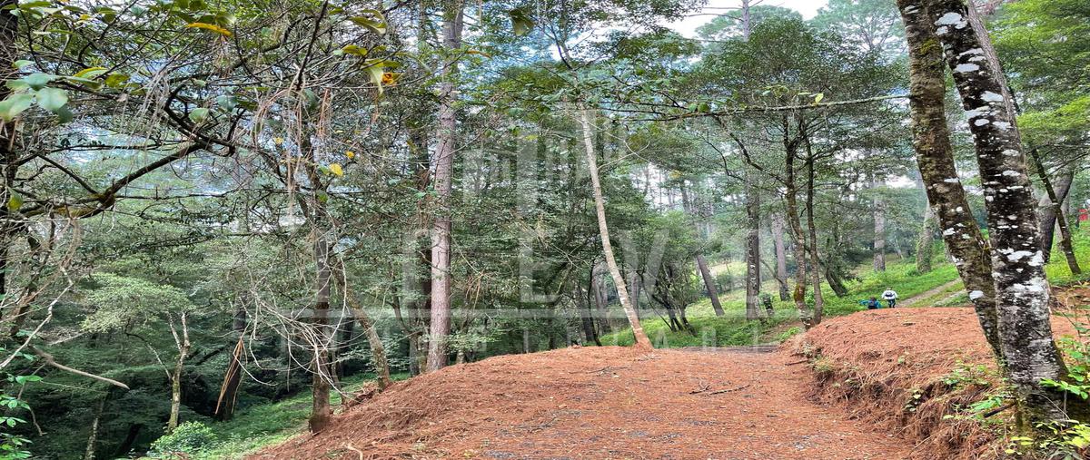 Foto de terreno habitacional en venta en  , avándaro, valle de bravo, méxico, 0 No. 04