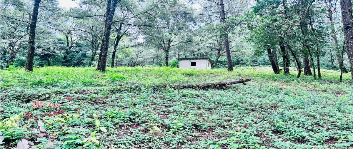 Foto de terreno habitacional en venta en  , avándaro, valle de bravo, méxico, 0 No. 03