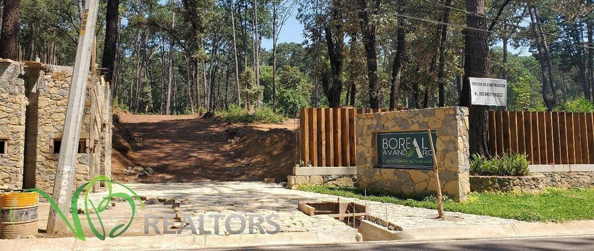 Foto de terreno habitacional en , avándaro, valle de bravo, méxico, 26859621 foto 01 Foto de terreno habitacional en venta en , avándaro, valle de bravo, méxico, 26859621 No. 01