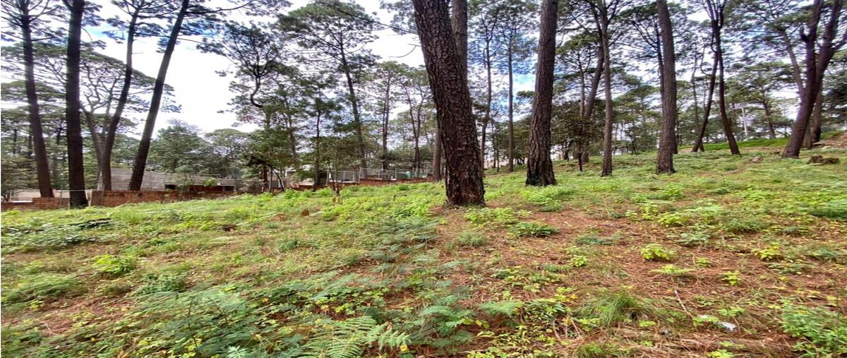 Foto de terreno habitacional en venta en  , avándaro, valle de bravo, méxico, 0 No. 03