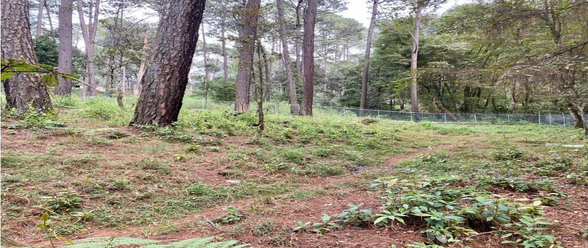 Foto de terreno habitacional en venta en  , avándaro, valle de bravo, méxico, 0 No. 04