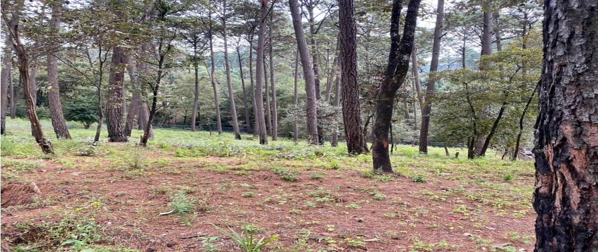 Foto de terreno habitacional en venta en  , avándaro, valle de bravo, méxico, 0 No. 05