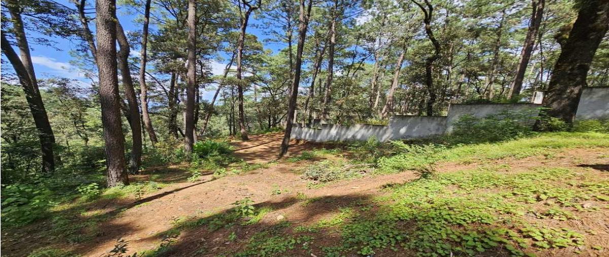 Foto de terreno habitacional en venta en  , avándaro, valle de bravo, méxico, 0 No. 03