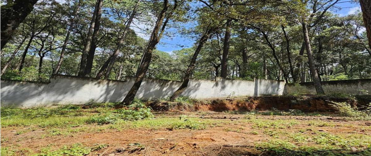 Foto de terreno habitacional en venta en  , avándaro, valle de bravo, méxico, 0 No. 04