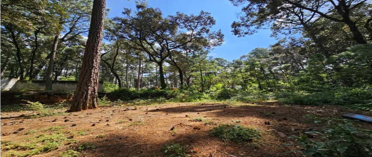 Foto de terreno habitacional en venta en  , avándaro, valle de bravo, méxico, 0 No. 05