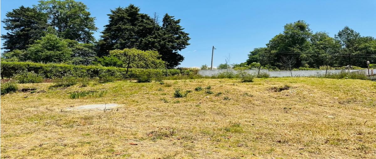 Foto de terreno habitacional en venta en  , avándaro, valle de bravo, méxico, 27488244 No. 05