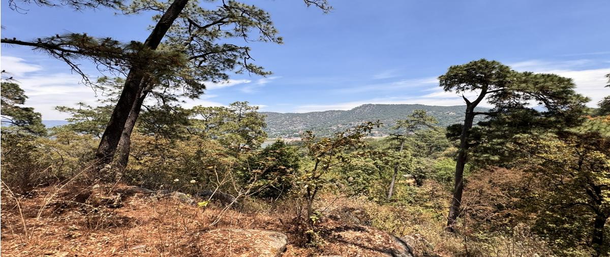Foto de terreno habitacional en , avándaro, valle de bravo, méxico, 0 foto 04 Foto de terreno habitacional en venta en , avándaro, valle de bravo, méxico, 0 No. 04
