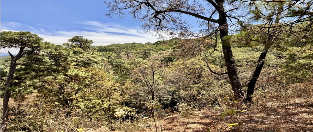 Foto de terreno habitacional en , avándaro, valle de bravo, méxico, 0 foto 05 Foto de terreno habitacional en venta en , avándaro, valle de bravo, méxico, 0 No. 05
