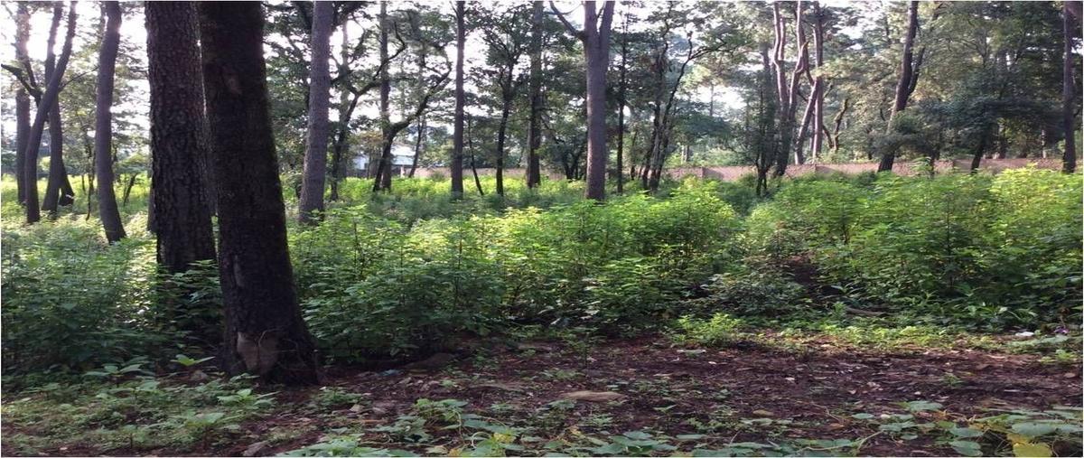 Foto de terreno habitacional en , avándaro, valle de bravo, méxico, 27873058 foto 05 Foto de terreno habitacional en venta en , avándaro, valle de bravo, méxico, 27873058 No. 05