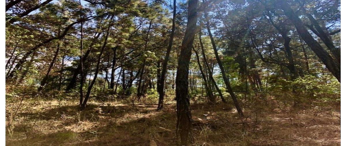 Foto de terreno habitacional en venta en  , avándaro, valle de bravo, méxico, 0 No. 03