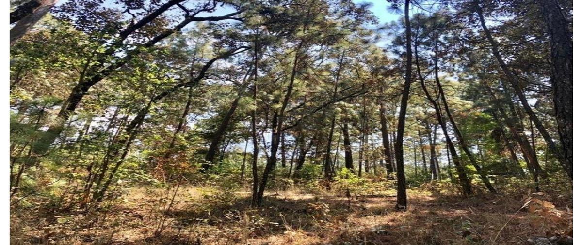 Foto de terreno habitacional en venta en  , avándaro, valle de bravo, méxico, 0 No. 04