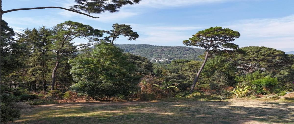 Foto de terreno habitacional en venta en  , avándaro, valle de bravo, méxico, 0 No. 04