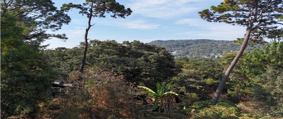 Foto de terreno habitacional en venta en  , avándaro, valle de bravo, méxico, 0 No. 05