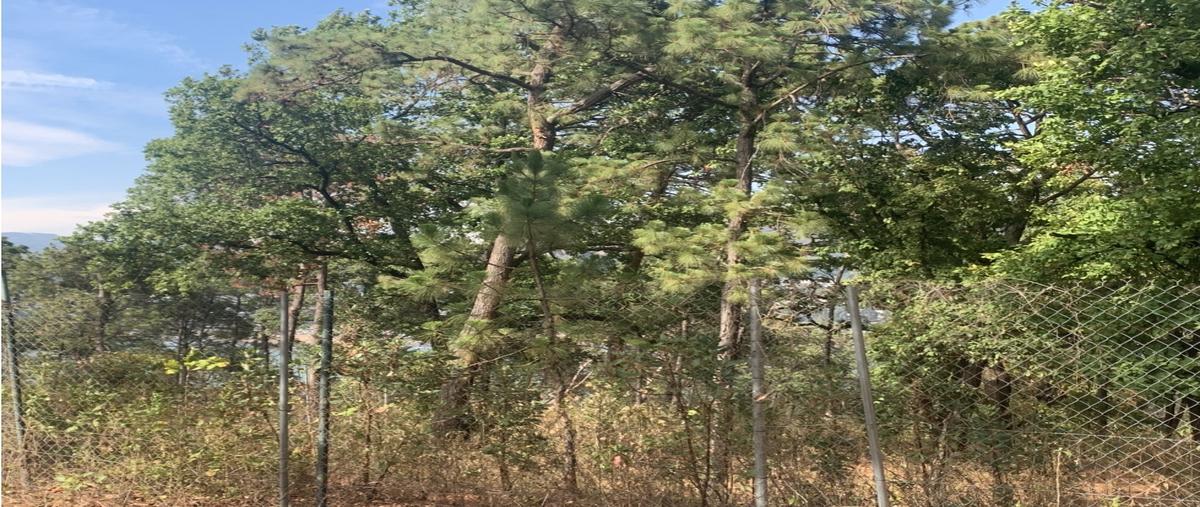 Foto de rancho en venta en  , avándaro, valle de bravo, méxico, 0 No. 04