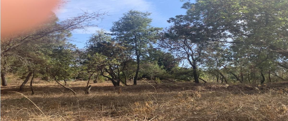 Foto de rancho en venta en  , avándaro, valle de bravo, méxico, 0 No. 05