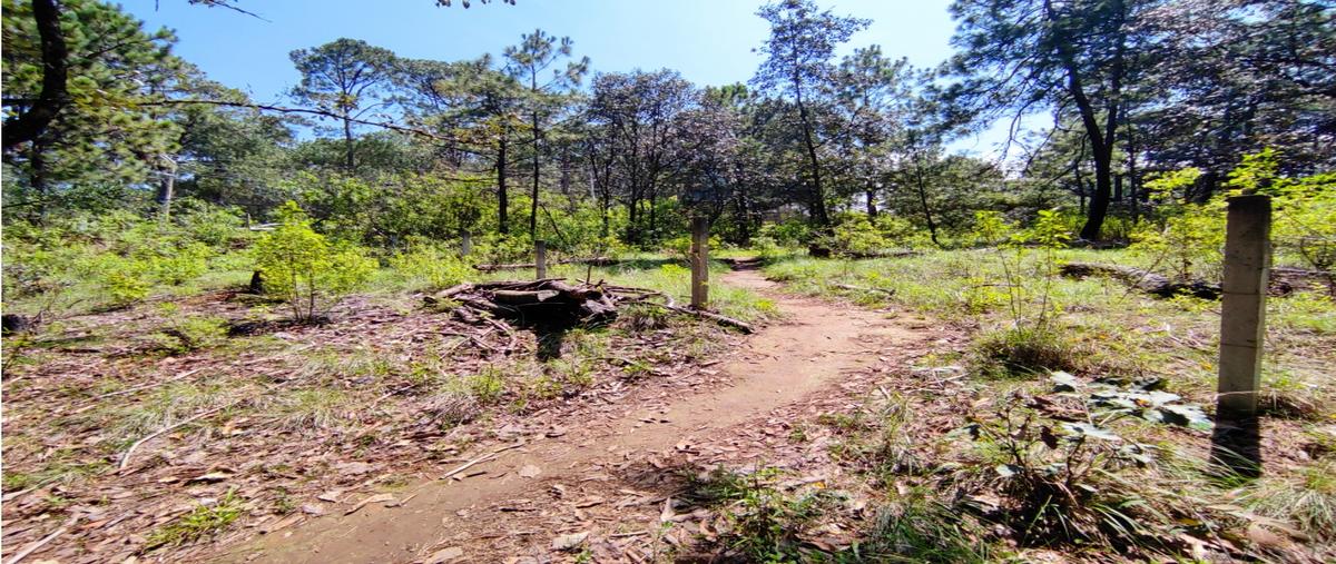 Foto de terreno habitacional en venta en  , avándaro, valle de bravo, méxico, 0 No. 04